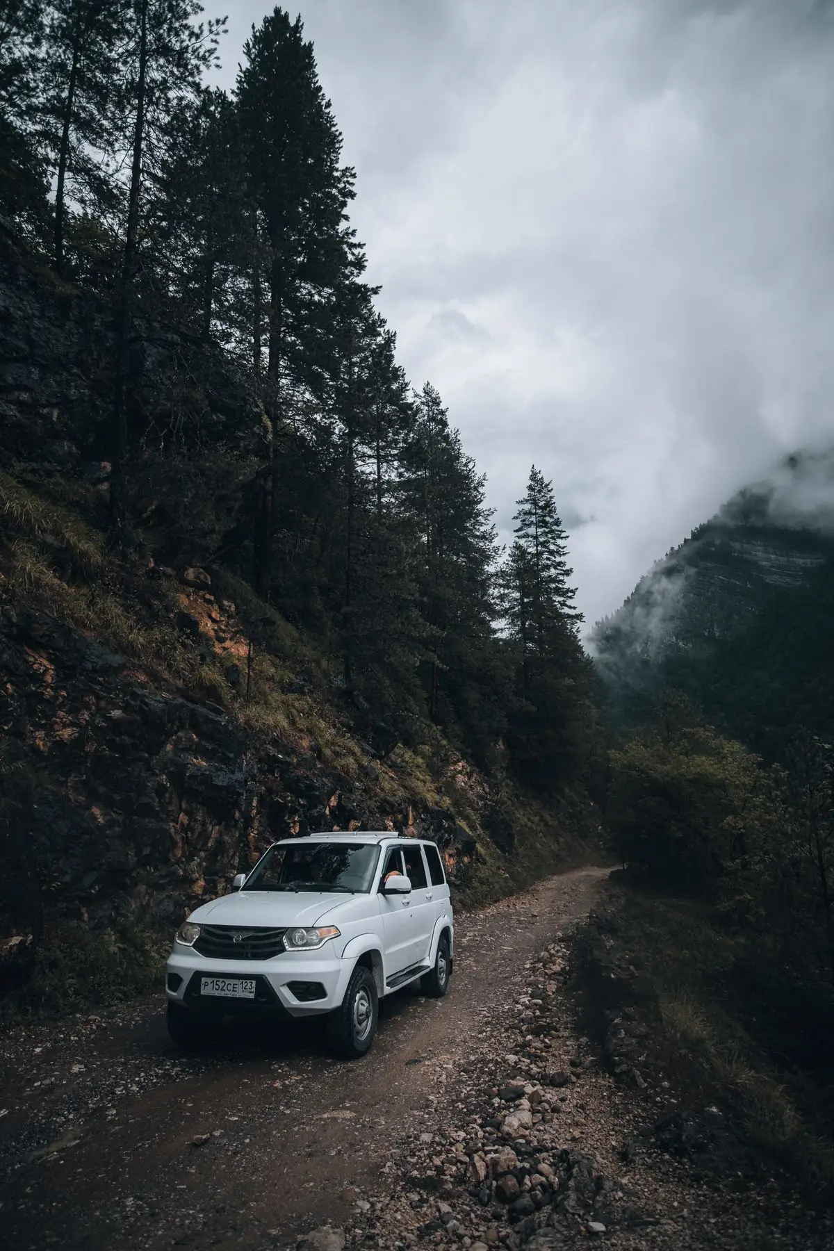 White SUV on a forest road.